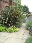 Detail of york stone paving and planting at back door